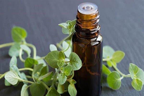 تصویر 5 از قیمت خرید اسانس تخم گشنیز عمده به صرفه و ارزان